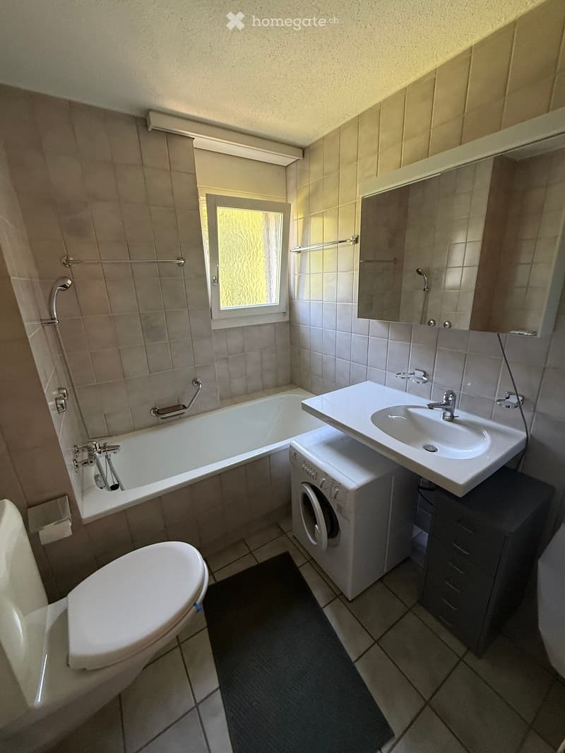 Bathroom with a toilet, bathtub, sink, mirror, washing machine, and a small window with frosted glass. Includes a shower area with a handrail and a dark-colored bath mat on the floor.