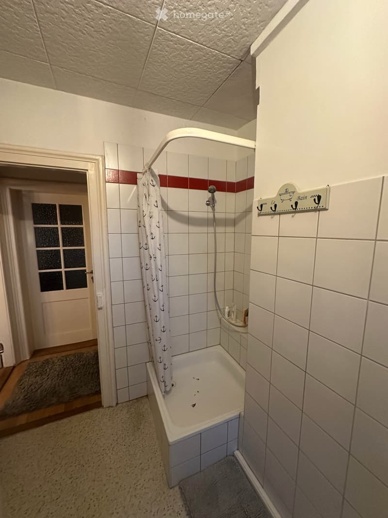 2.5 Zimmer Wohnung in Alt Münchenstein (3)