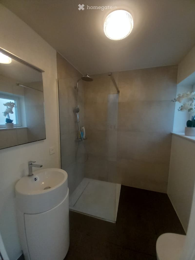 Modern bathroom with a sleek white sink, mirror, shower area, and toilet. Features a round ceiling light and a window with a small plant on the sill.