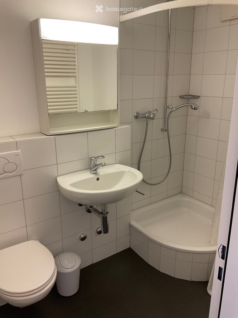 Modern bathroom with white tiles, a toilet, a sink with a mirror above it, a bathtub, and a handheld showerhead.
