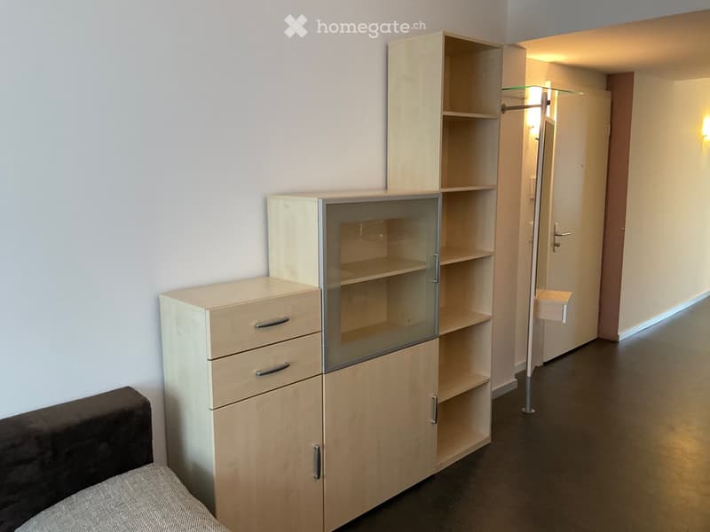 A furnished room with a sofa, a wooden cabinet with drawers, a glass-fronted shelf unit, and a modern floor lamp.