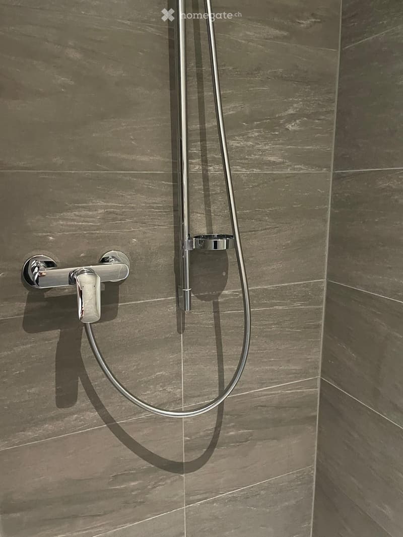 Modern bathroom shower area with sleek, stainless steel fixtures and dark marble tiles.
