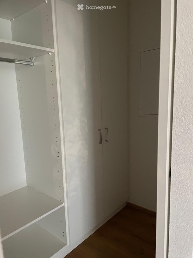 Empty closet with white walls, wooden floor, and built-in shelves and hanging rod.