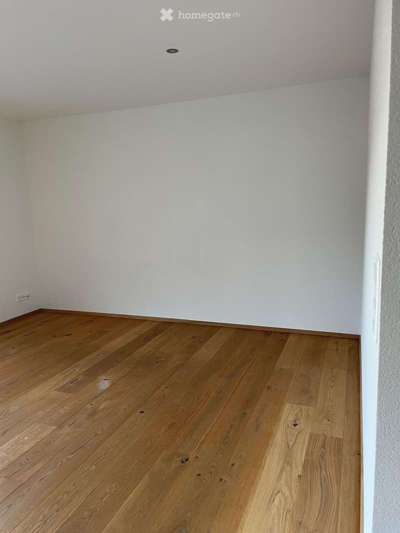 Empty room with light-colored walls and polished wooden flooring, featuring a single visible electrical outlet and a ceiling light fixture.