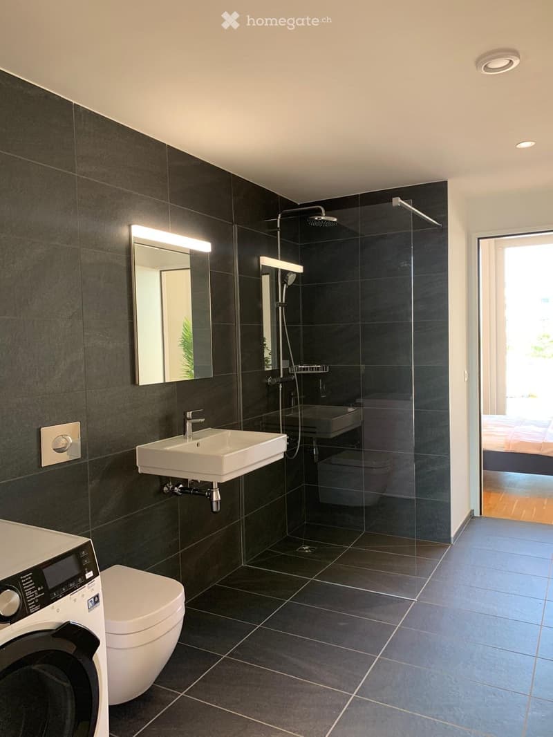 Modern bathroom with dark grey tiles, a white sink, a shower with glass enclosure, a toilet, and a washing machine. The room features a large mirror with built-in lighting and recessed ceiling lights.