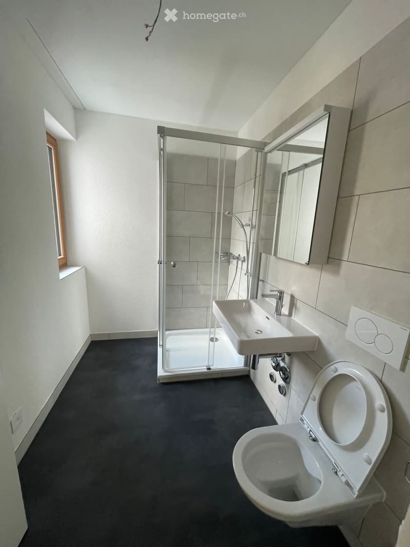 Modern bathroom with a white sink, toilet, glass-enclosed shower, and a large mirror above the sink.