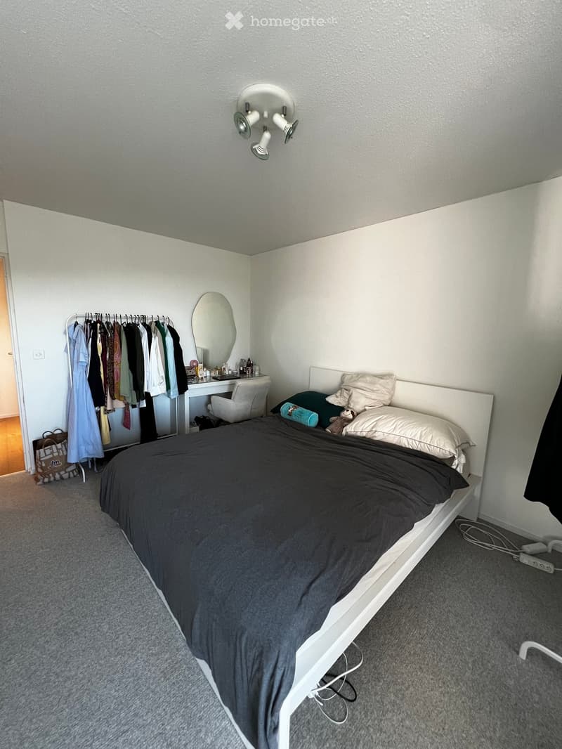 Master bedroom: bed, wardrobe, mirror, desk, closet, power outlets, carpet