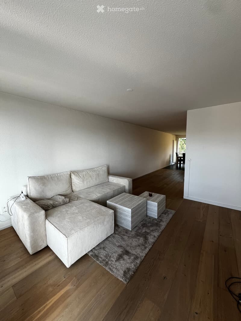 modern living room with gray sofa, two small side tables, gray rug, wooden floor