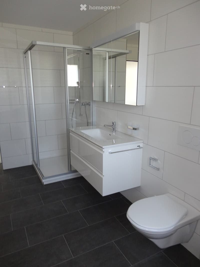 Modern bathroom with white tiles, a white sink cabinet, a toilet, a large mirror, and a glass-enclosed shower.