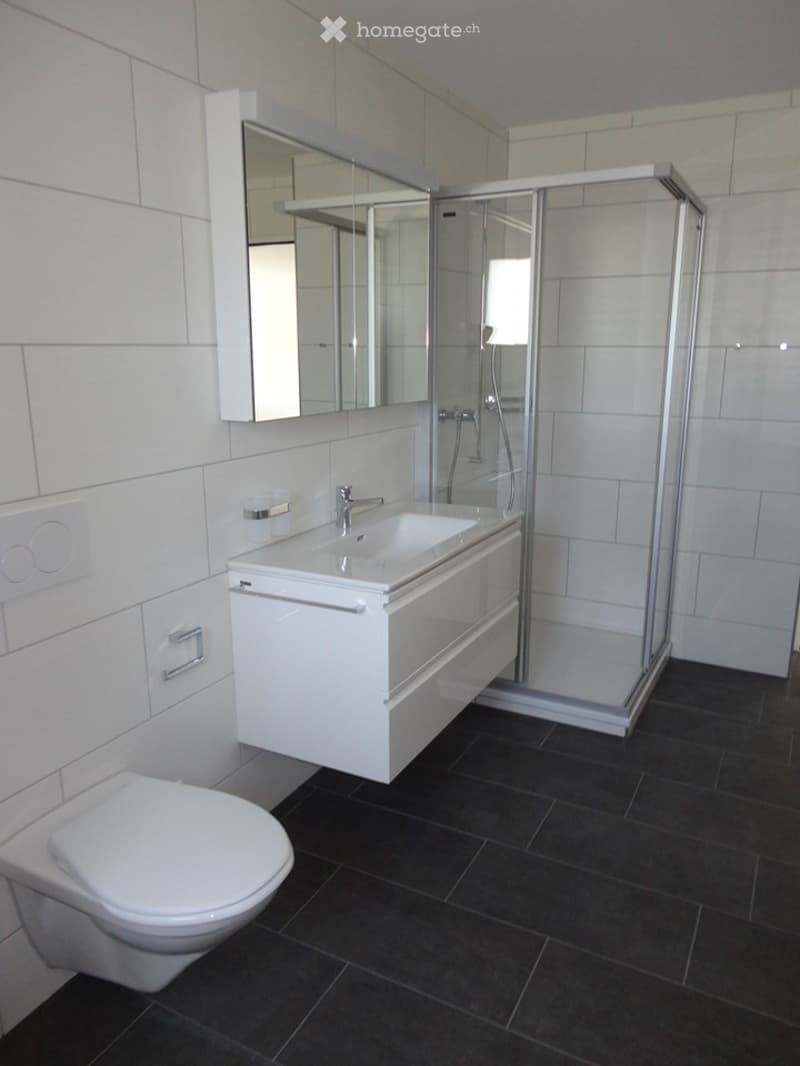 Modern bathroom with white tiles, black floor, white sink, mirror, toilet, and glass-enclosed shower.