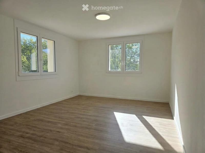 Empty room with wooden flooring, white walls, and multiple windows allowing natural light.