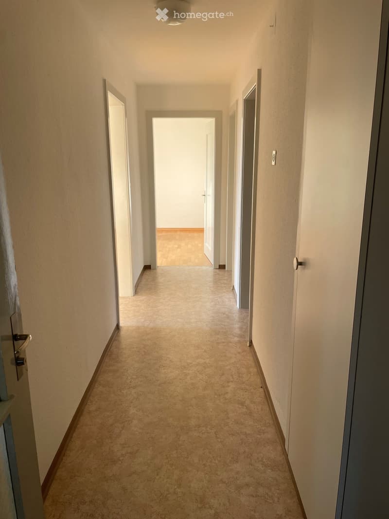 Empty hallway with beige carpet, white walls, and several doors leading to other rooms.