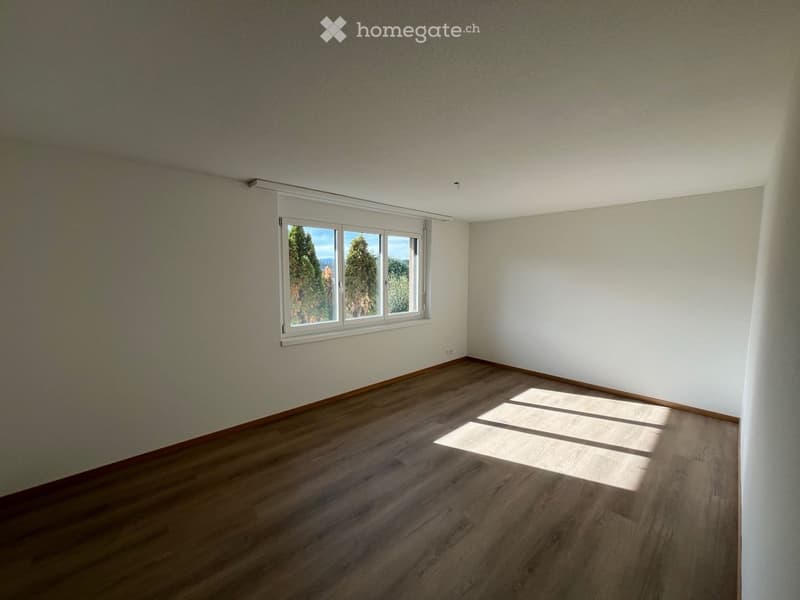 Empty room with wooden flooring, white walls, and a large window showing a view of trees outside.