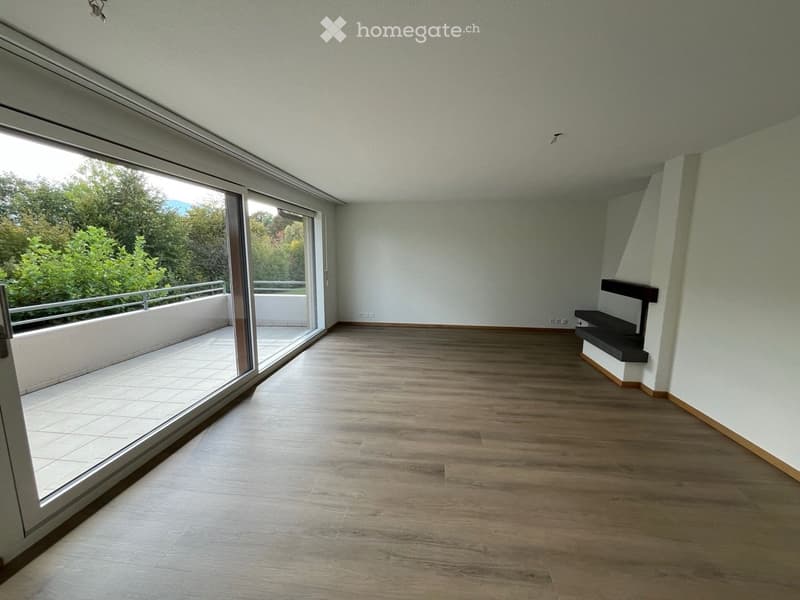 Empty room with wooden flooring, large sliding glass door leading to a balcony, and a small built-in shelf unit.