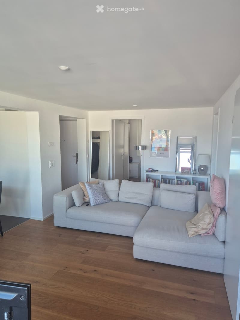 Modern living room with a grey sectional sofa, multiple pillows, a bookshelf with books and decorative items, a mirror, and a table lamp.
