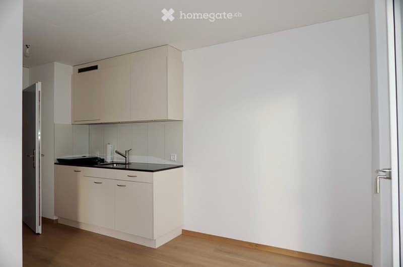 Modern kitchen with white cabinets, black countertop, and a stainless steel sink.