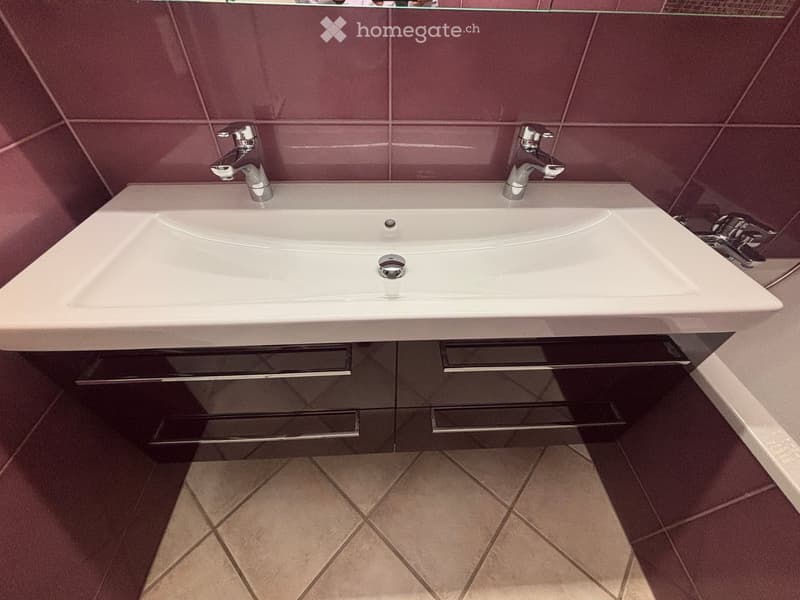 Modern bathroom with a white sink, dual chrome faucets, and a dark wooden cabinet with silver handles.