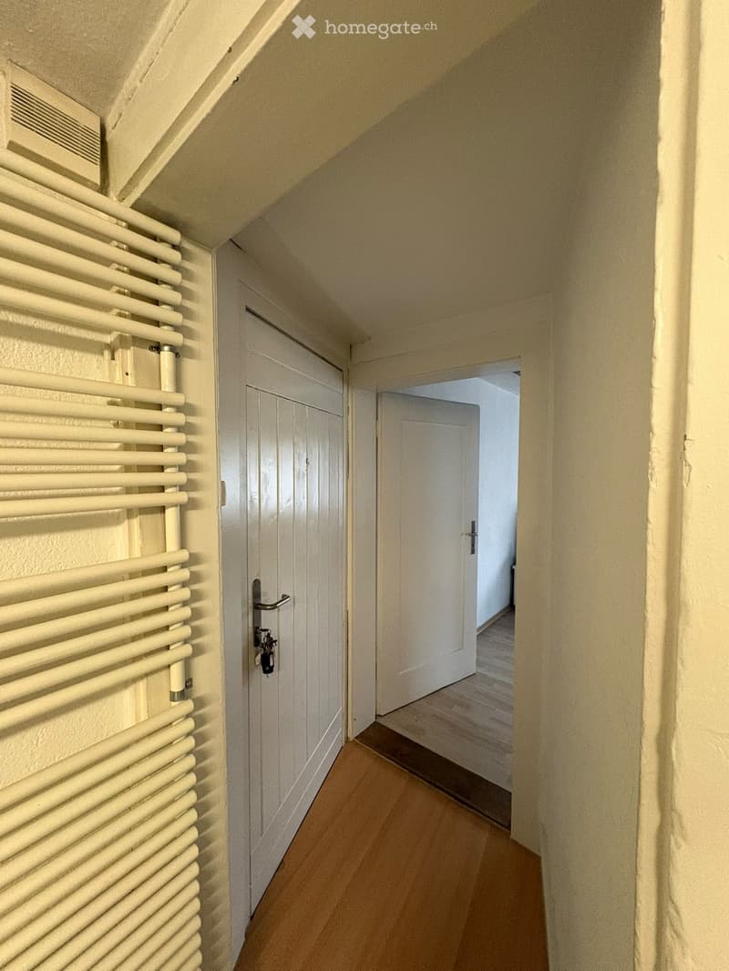A narrow hallway with wooden flooring, white walls, and a radiator on the left side. A closed door is visible, leading to another room.