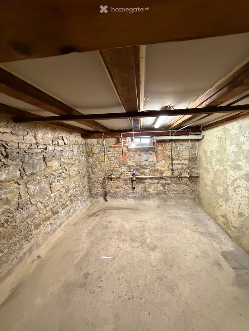Empty basement with exposed brick walls, concrete floor, exposed wooden beams, and minimal lighting.
