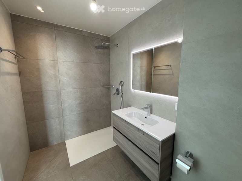 Modern bathroom with a white sink, grey vanity, large mirror with LED lighting, and a walk-in shower with a glass enclosure.