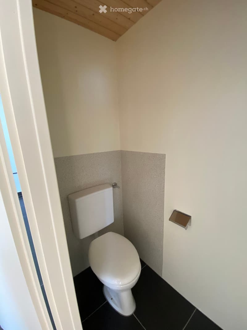 Compact bathroom with white toilet, dark tiled floor, and light-colored walls.