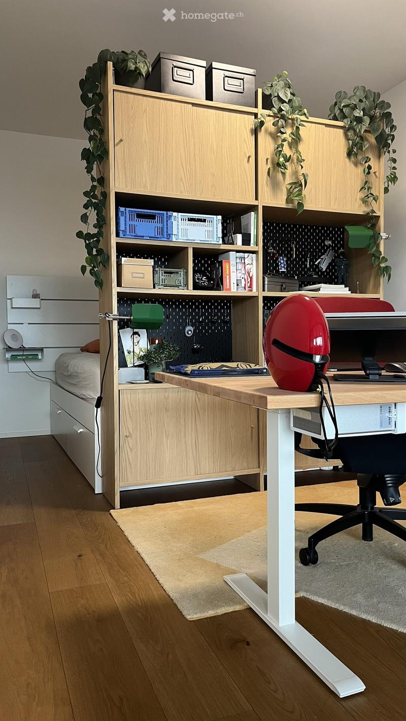 A modern, multi-functional room with a bed, desk, and shelving unit. The room features a wooden floor, a beige rug, and various storage items and plants.