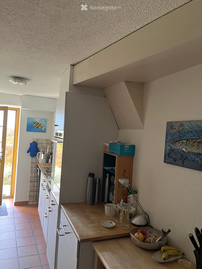 Modern kitchen with white cabinets, wooden countertops, and various kitchen items including a bowl of fruit, cups, and a lamp. The space features a built-in oven and a refrigerator, with a painting on the wall and a small shelf holding additional items.