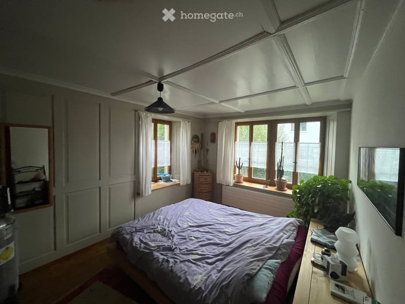 Cozy bedroom with a large bed, nightstand, mirror, potted plants on windowsills, and a hanging lamp.