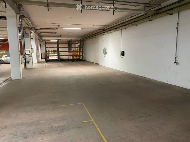 {"visible_features": ["Garage"], "type": "Garage", "objects": [], "description": "Empty underground garage with concrete floors, white walls, exposed pipes, and a metal shelving unit in the background.", "localized_descriptions": {"EN": "Empty underground