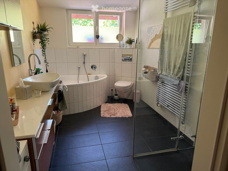 Modern bathroom with a large sink, bathtub, toilet, and a glass-enclosed shower. Features include a towel rack, a radiator, a small plant, and a mirror above the sink.