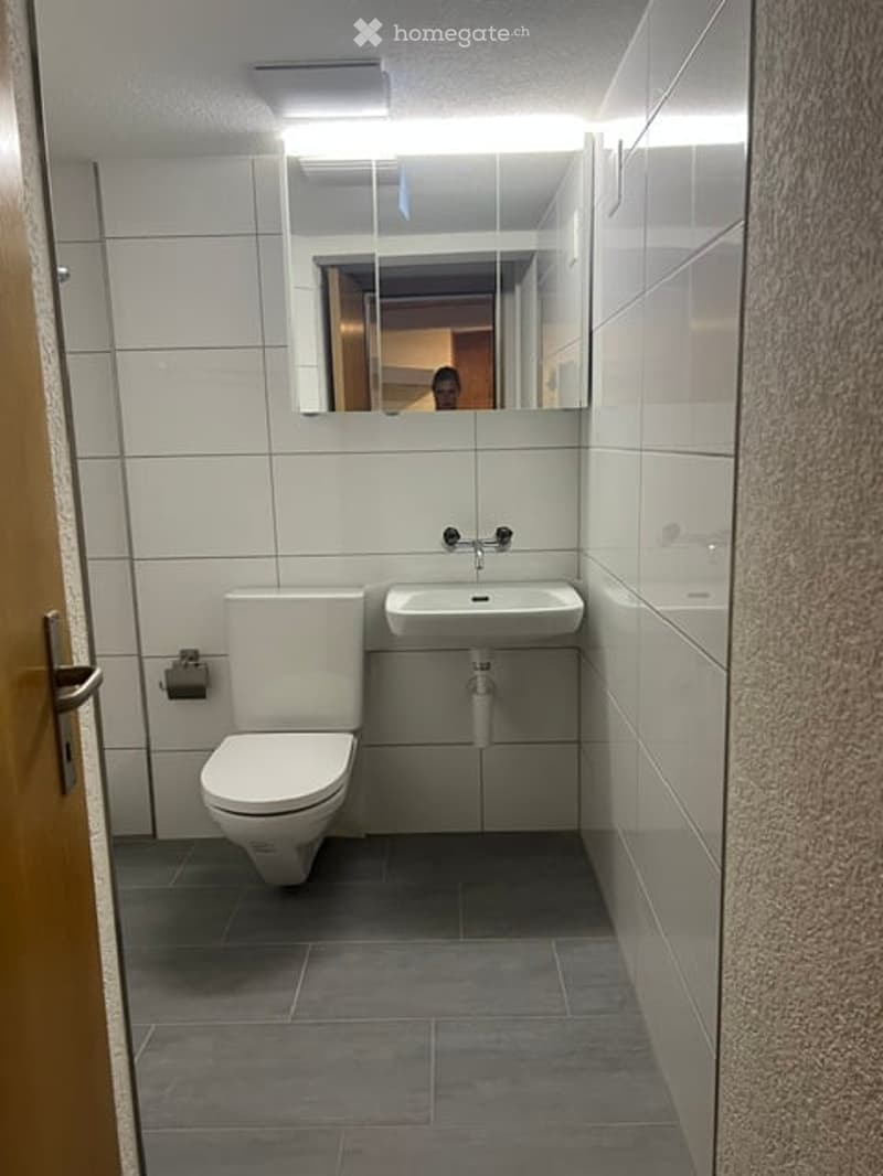 Modern bathroom with white tiles, a toilet, a sink, and a large mirror above the sink.