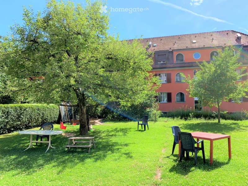 A well-maintained garden area with a large tree, a swing, a hammock, and outdoor furniture including tables and chairs.