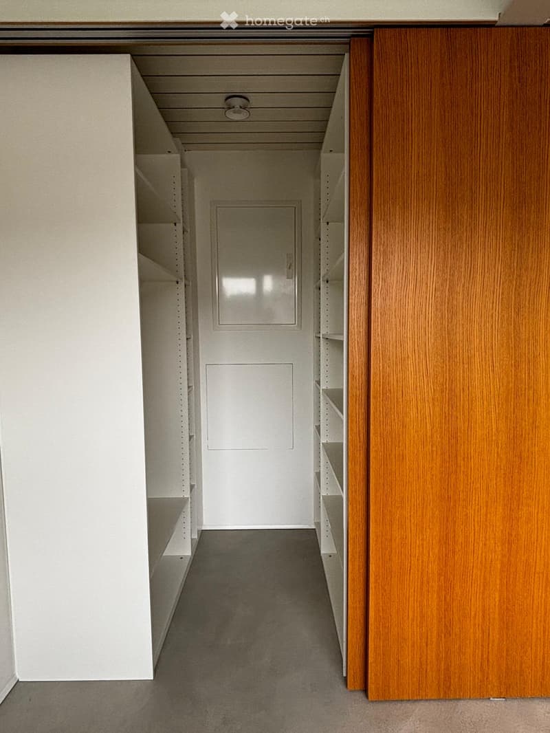 Empty hallway with white walls, wooden door, and built-in shelving units on both sides.