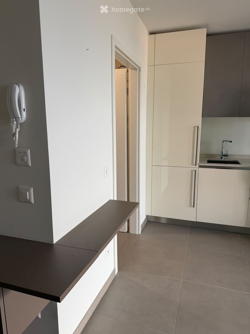 Modern hallway with a dark wooden bench, white cabinets, and a small sink area visible in the background.