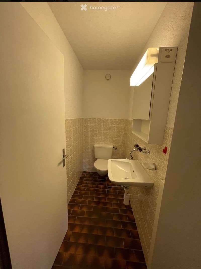 Small bathroom with a toilet, sink, and mirror. The walls are tiled with a patterned design, and the floor is made of dark brown tiles.