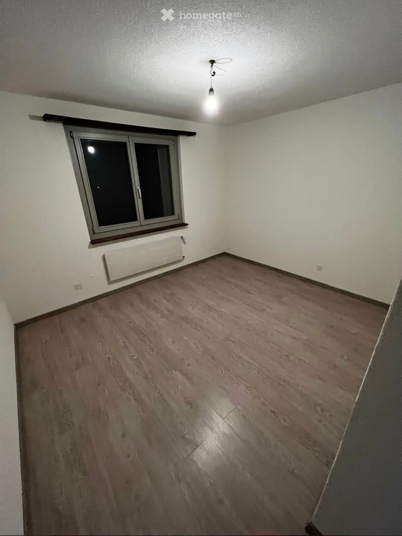 Empty room with wooden flooring, white walls, a single window with a radiator below, and a ceiling light fixture.