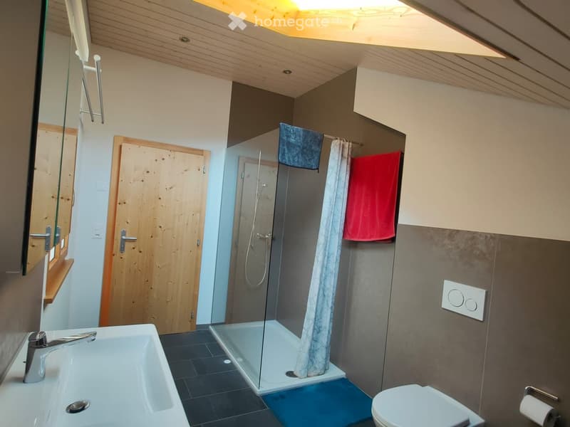 Modern bathroom with a white sink, toilet, glass-enclosed shower, and wooden ceiling. Features include a towel rack with towels, a mirror, and a light switch.
