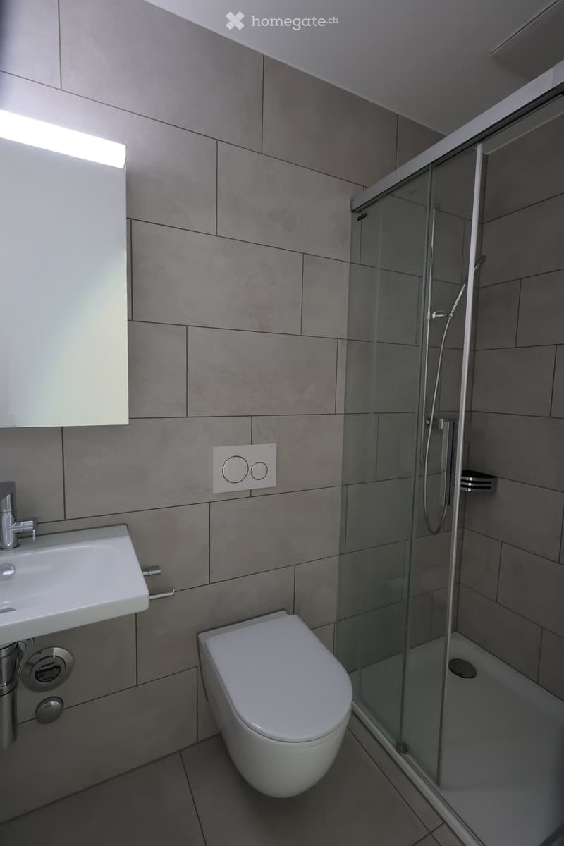 Modern bathroom with grey tiled walls, a white sink with chrome faucet, a toilet, and a glass-enclosed shower with a handheld showerhead.