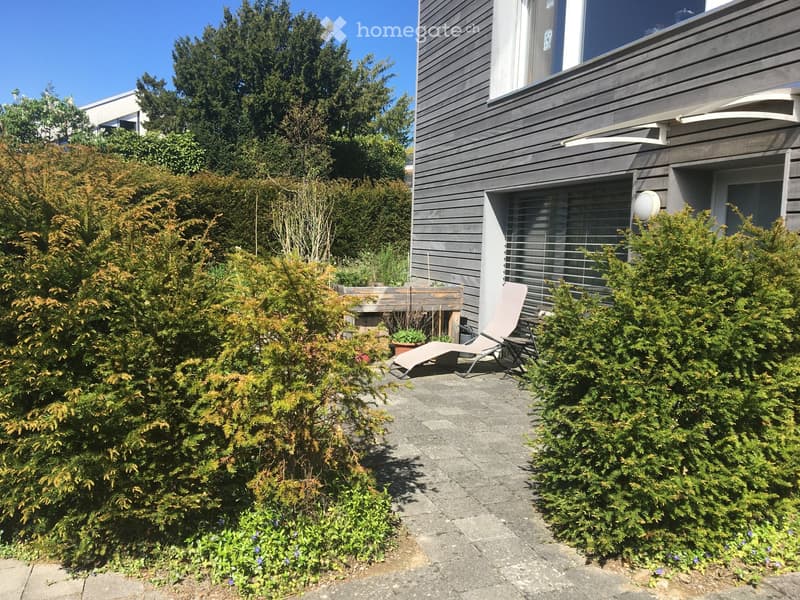 Gray wall, outdoor furniture, bush, flower plants
