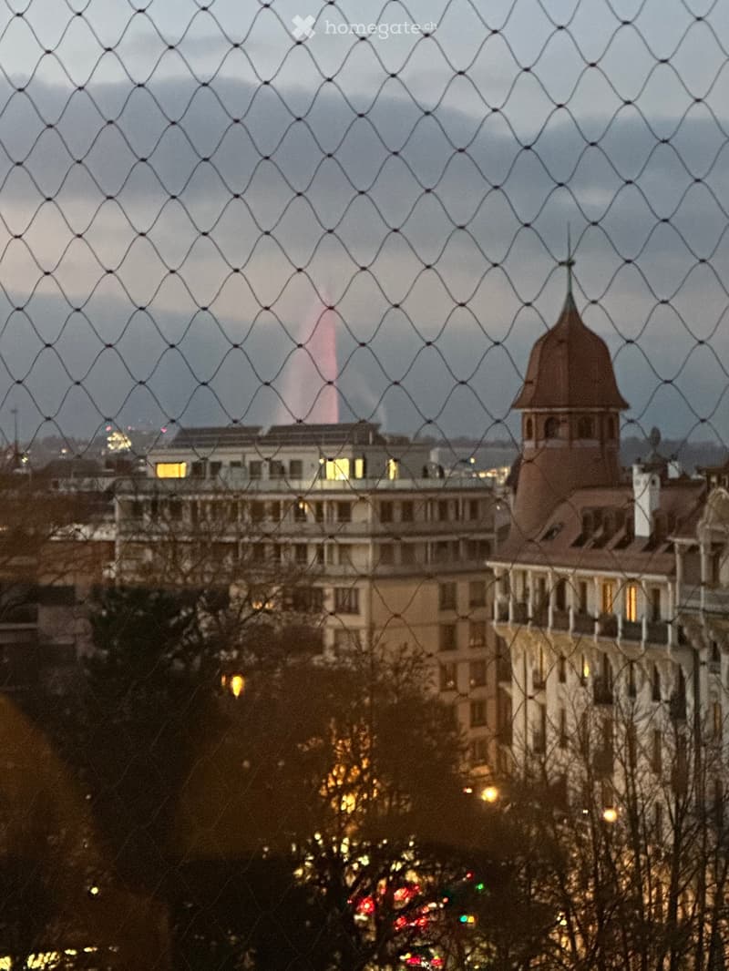 A view of a cityscape through a decorative metal mesh, featuring a prominent domed building with a spire and several other structures in the background.
