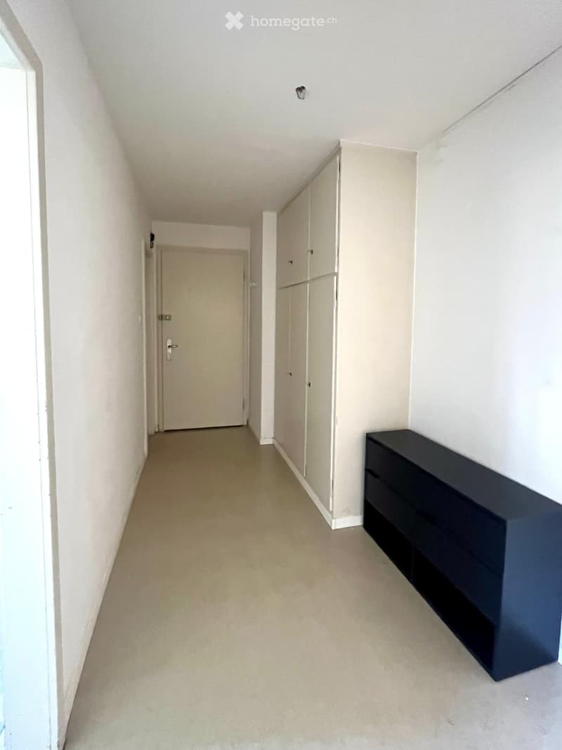 A narrow hallway with light-colored walls and carpeted flooring, featuring a tall black cabinet on the right side and a closed door at the end.