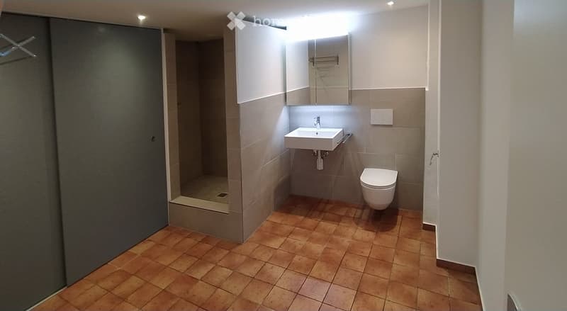 Modern bathroom with a sink, toilet, mirror, and cabinet. The floor is tiled with warm-toned tiles, and the walls are painted in neutral tones.