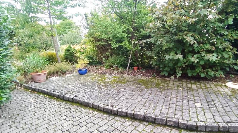 Garden area with a paved brick pathway surrounded by lush greenery and potted plants.