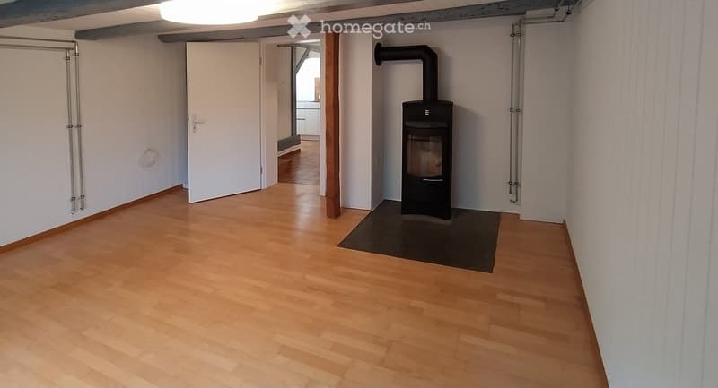 Empty hallway with wooden flooring, white walls, and a black wood-burning stove with a chimney pipe. A door leads to another room.