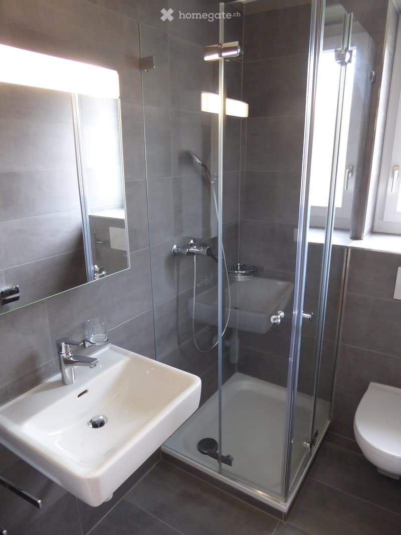 Modern bathroom with a white sink, chrome faucet, glass-enclosed shower, and a toilet. The walls are tiled in gray, and the shower has a handheld sprayer.
