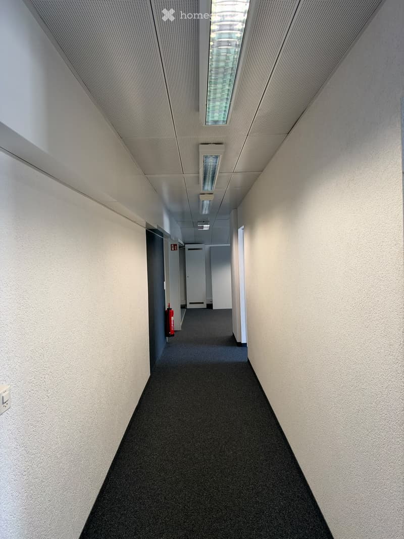 Modern hallway with gray carpeted floor, white walls, and recessed lighting. Features a fire extinguisher on the left wall and a closed door at the end.