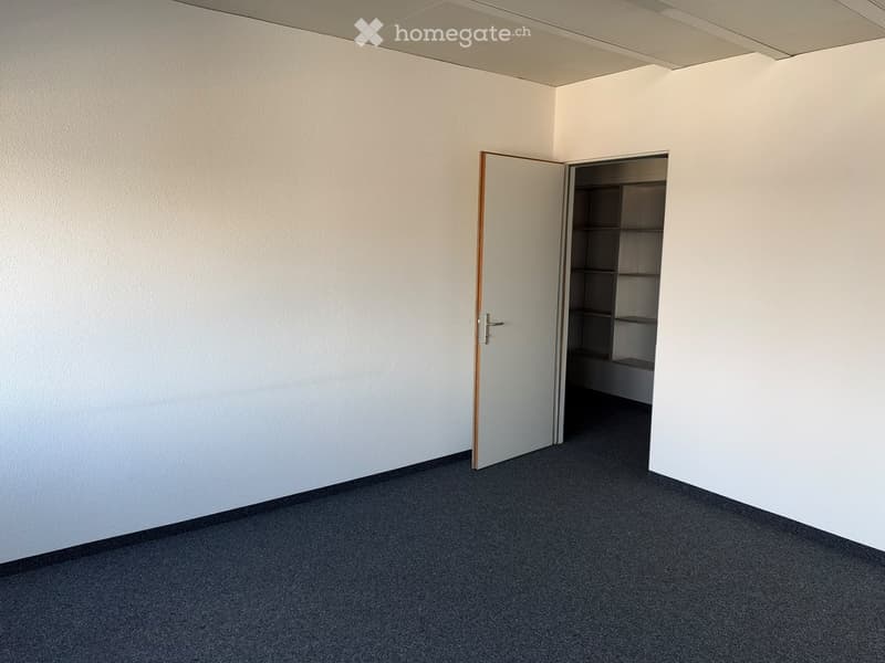 Empty room with white walls, grey carpeted floor, and an open door leading to a small closet with empty shelves.