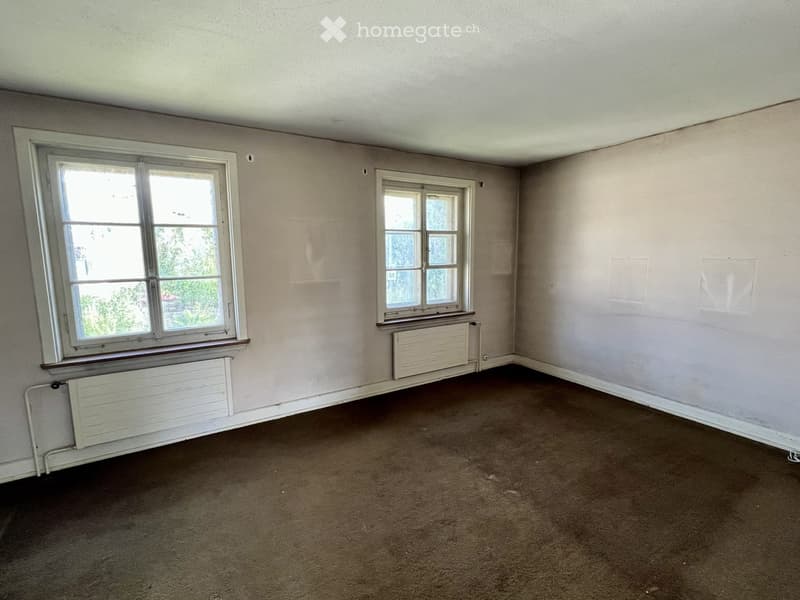 Empty room with beige walls, carpeted floor, two windows with white frames, and radiators beneath each window.