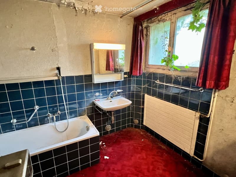 Bathroom with blue tiled walls, a red carpet, a bathtub, a sink, a mirror, and a radiator. The window has a red curtain and some plants growing on it.