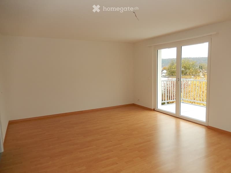 helle uns sonnige Dachwohnung an ruhiger Lage in Wettingen (10)
